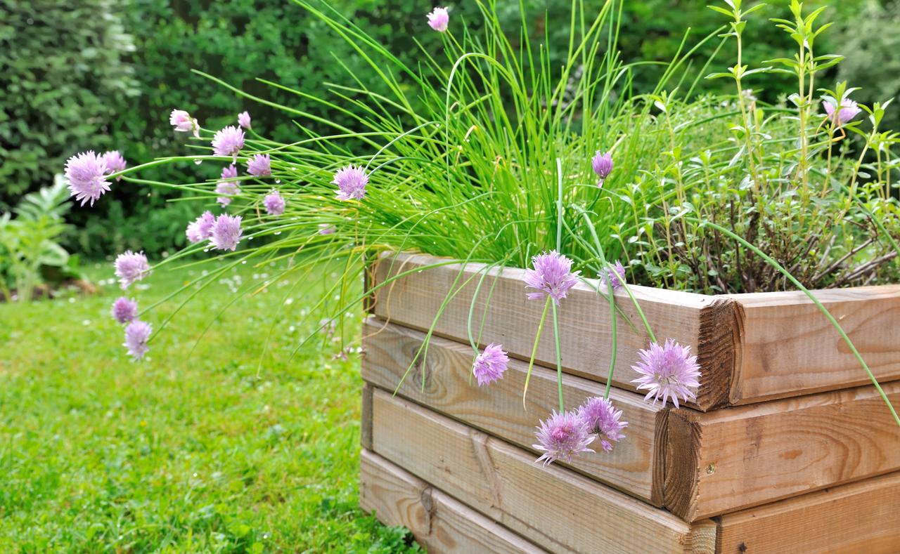 Comment fabriquer une jardinière en bois pour vos plantes printanières — free download